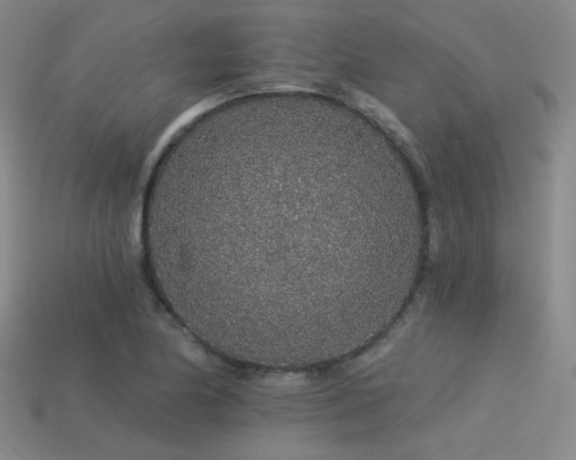 X0000113531174200909181129