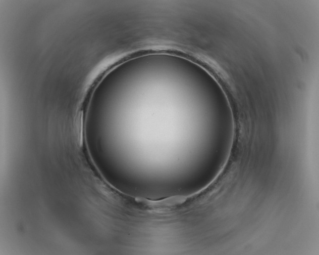 X0000113531175200909181129