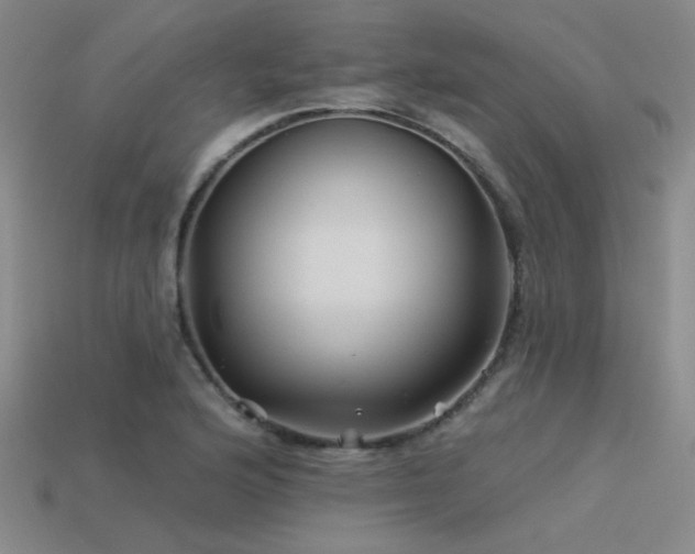 X0000113531176200909181129
