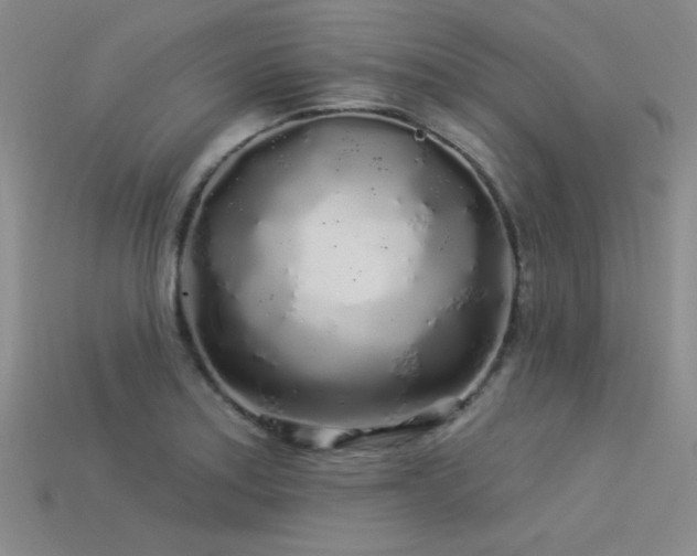 X0000113531179200909181129