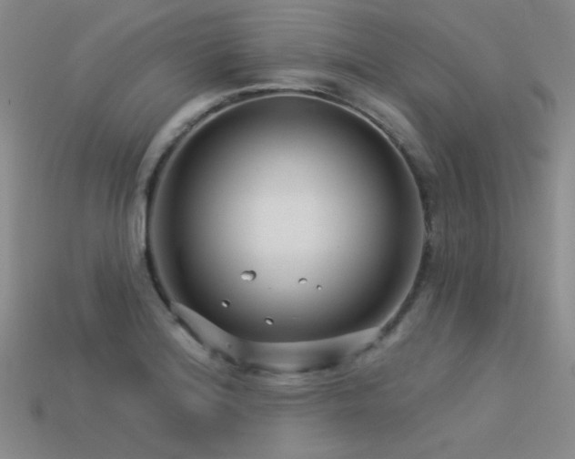 X0000113531180200909181129