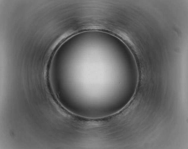 X0000113531181200909181129