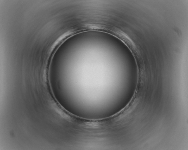 X0000113531182200909181129