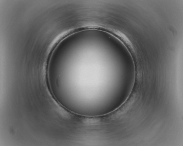 X0000113531183200909181129
