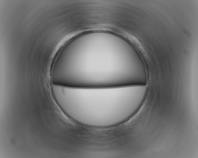 X0000113531184200909181129