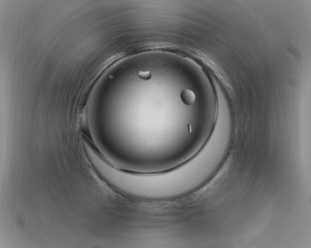 X0000113531185200909181129