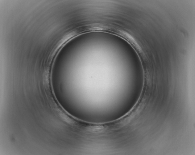 X0000113531186200909181129