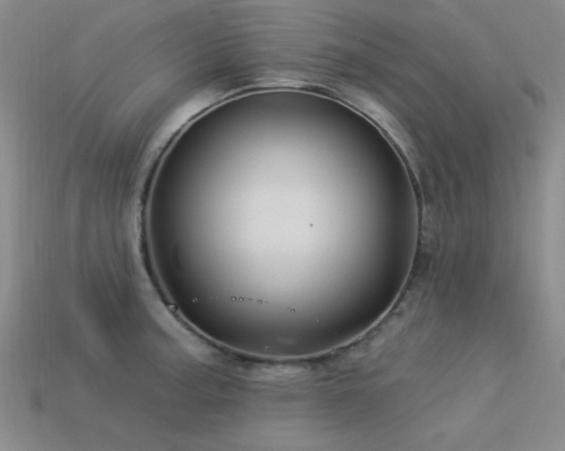 X0000113531187200909181129