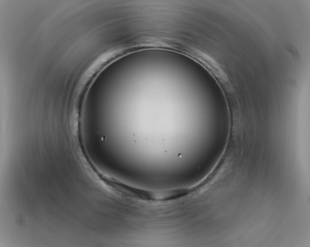 X0000113531188200909181129