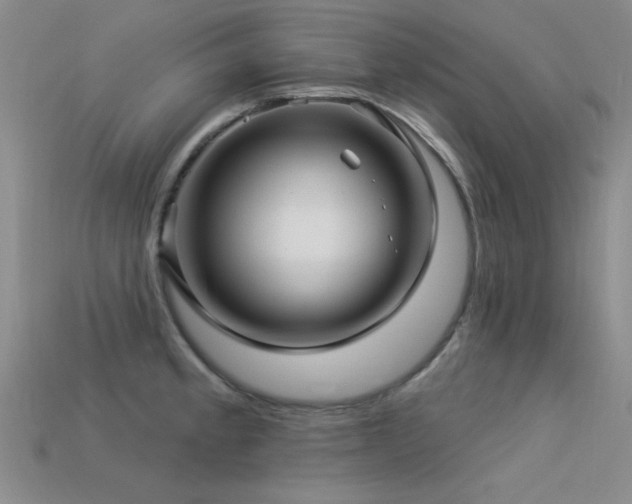 X0000113531189200909181129