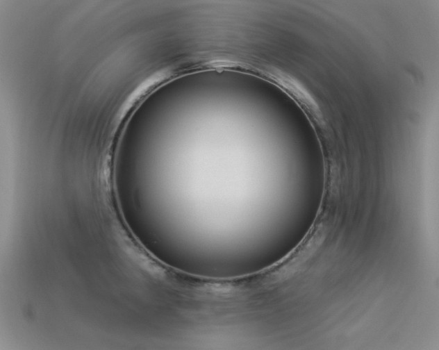 X0000113531190200909181129