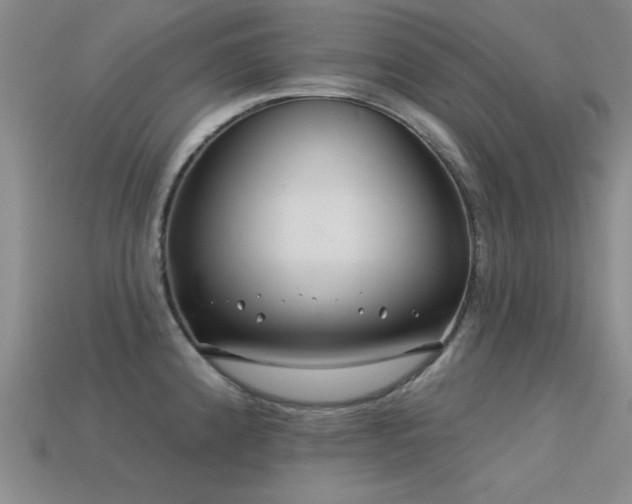 X0000113531192200909181129