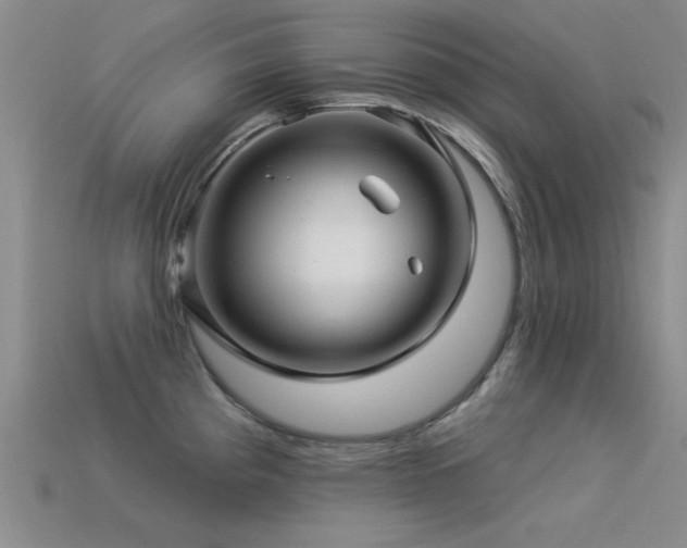 X0000113531193200909181129