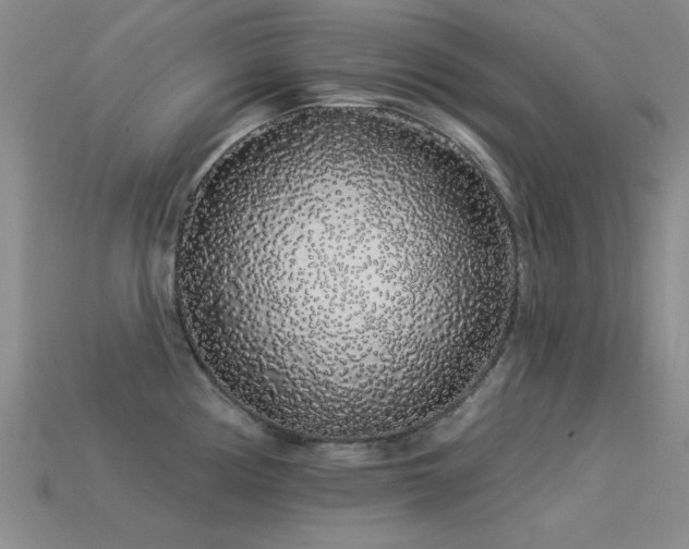 X0000113531194200909181129