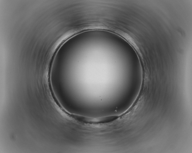X0000113531197200909181129