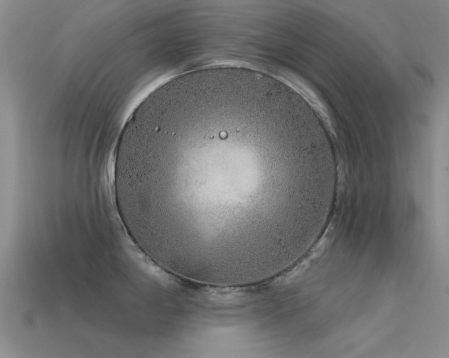 X0000113531198200909181129
