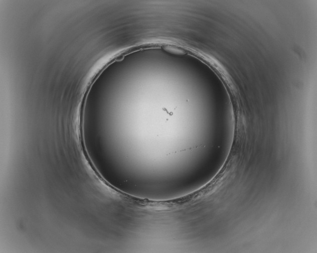 X0000113531199200909181128