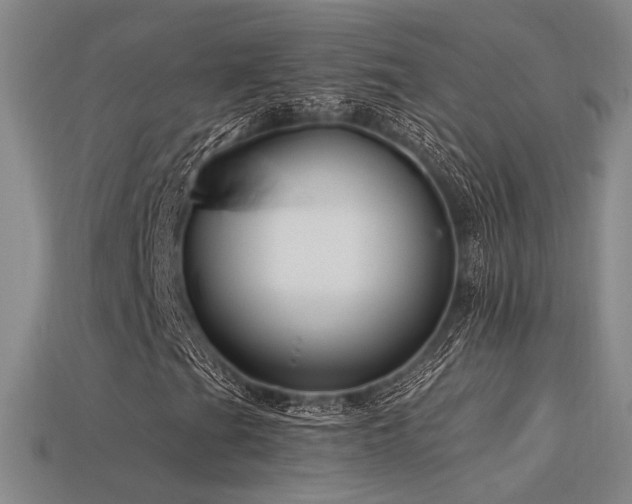 X0000113531201200909181128