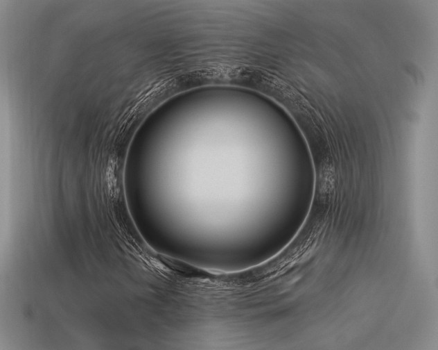 X0000113531202200909181128