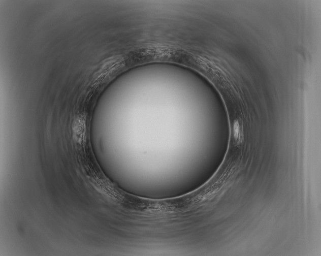 X0000113531203200909181128