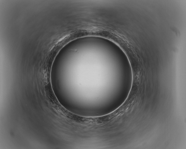 X0000113531205200909181128