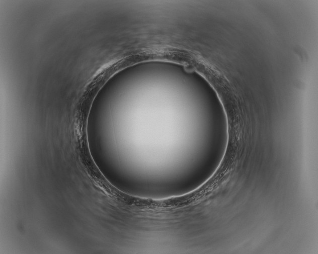 X0000113531206200909181128