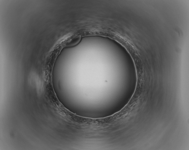 X0000113531207200909181128