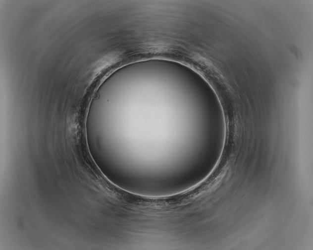 X0000113531210200909181128