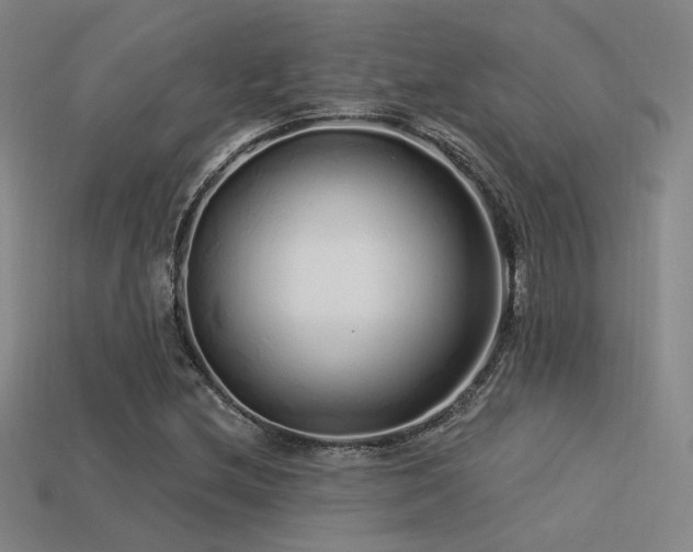 X0000113531212200909181128
