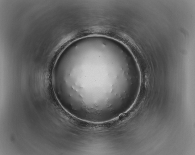 X0000113531213200909181128
