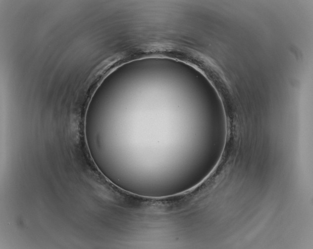 X0000113531217200909181128