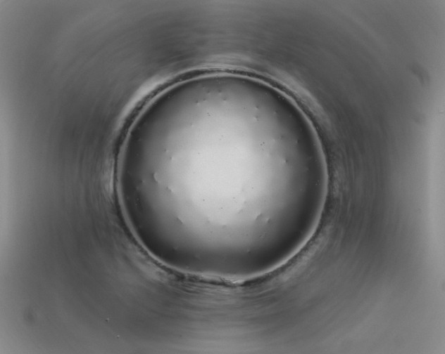 X0000113531224200909181128