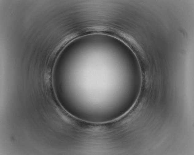 X0000113531225200909181128