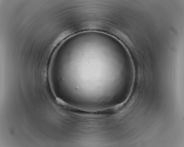 X0000113531226200909181128