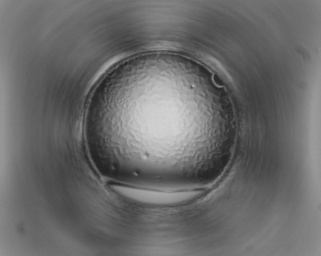 X0000113531228200909181128