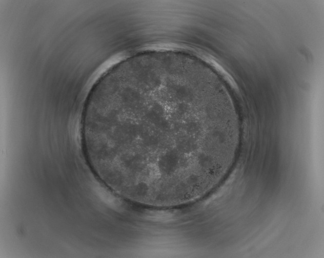 X0000113531229200909181128