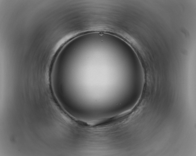 X0000113531230200909181128