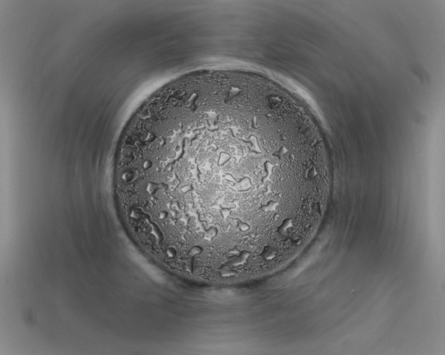 X0000113531231200909181128