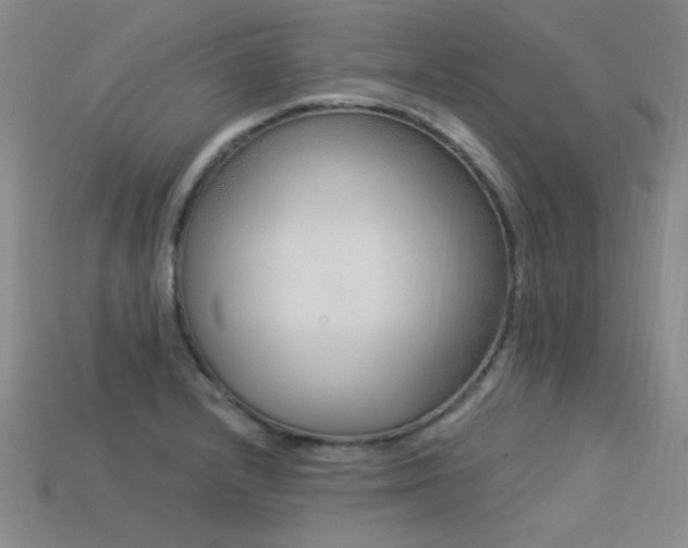 X0000113531232200909181128