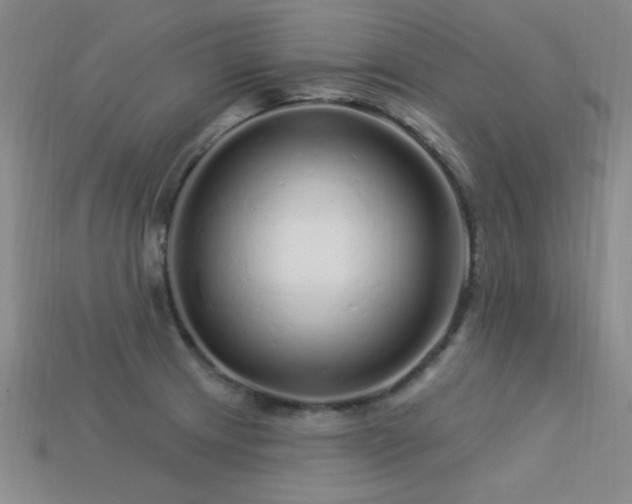 X0000113531233200909181128
