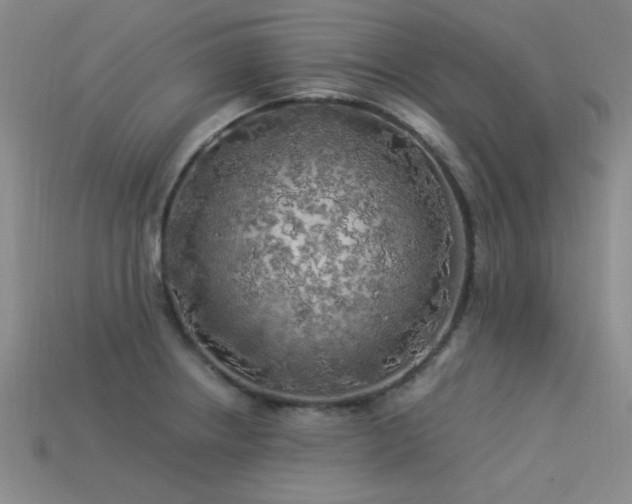 X0000113531234200909181128