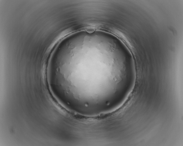 X0000113531235200909181128