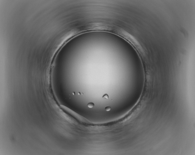 X0000113531236200909181128