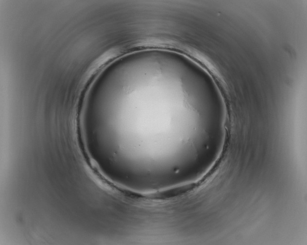 X0000113531237200909181128
