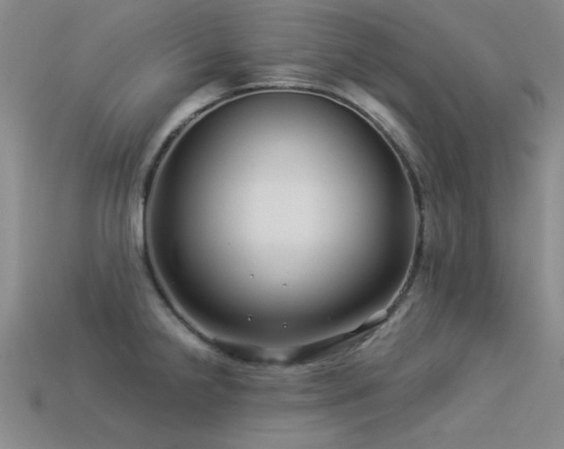 X0000113531238200909181128