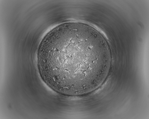X0000113531239200909181128