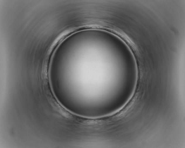 X0000113531240200909181128