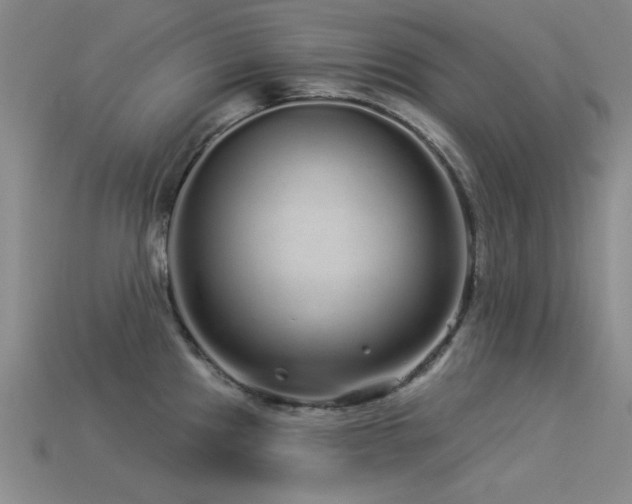 X0000113531241200909181128