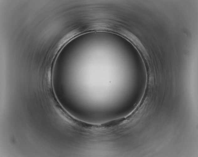 X0000113531242200909181128