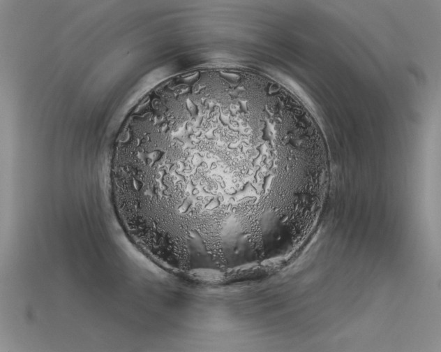 X0000113531243200909181128